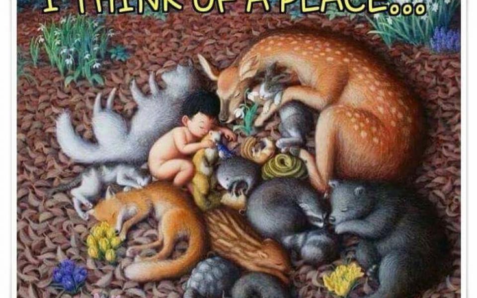 Sexuality and Christian Hope Gospel in Life