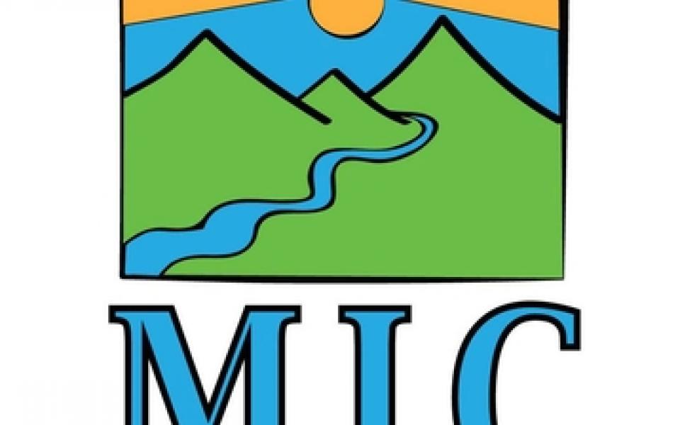 Big Merger Announcement - MIC logo