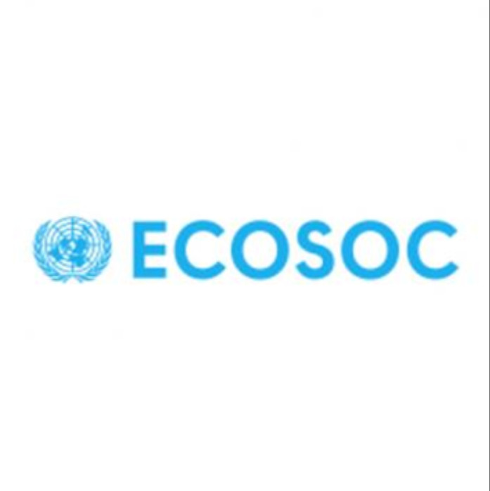 United Nations Economic and Social Council (ECOSOC)