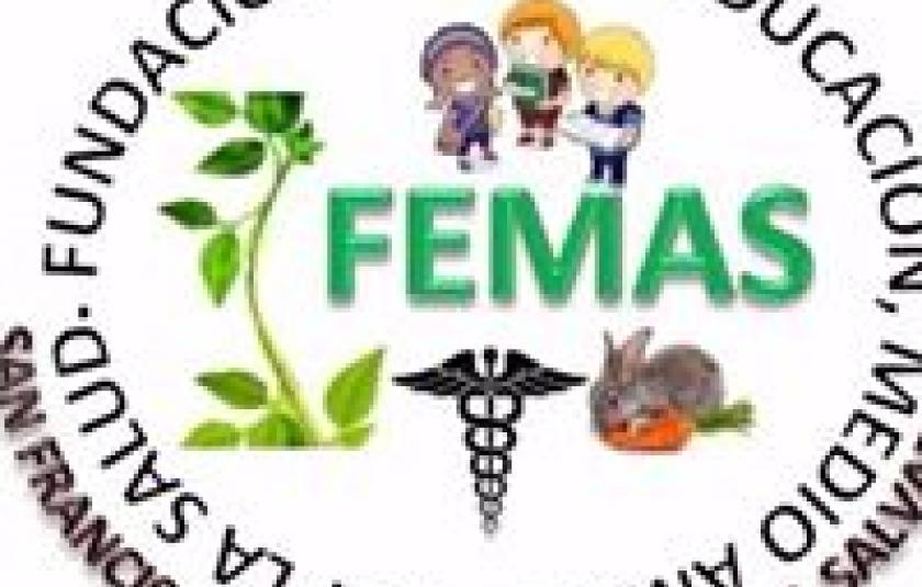 femas_logo.jpg