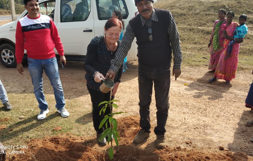 Mango Trees - Sister Nivedita Peace CC and Palki Peace CC