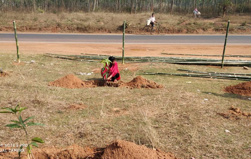 Youth-led URI Groups Plant Trees for the Environment