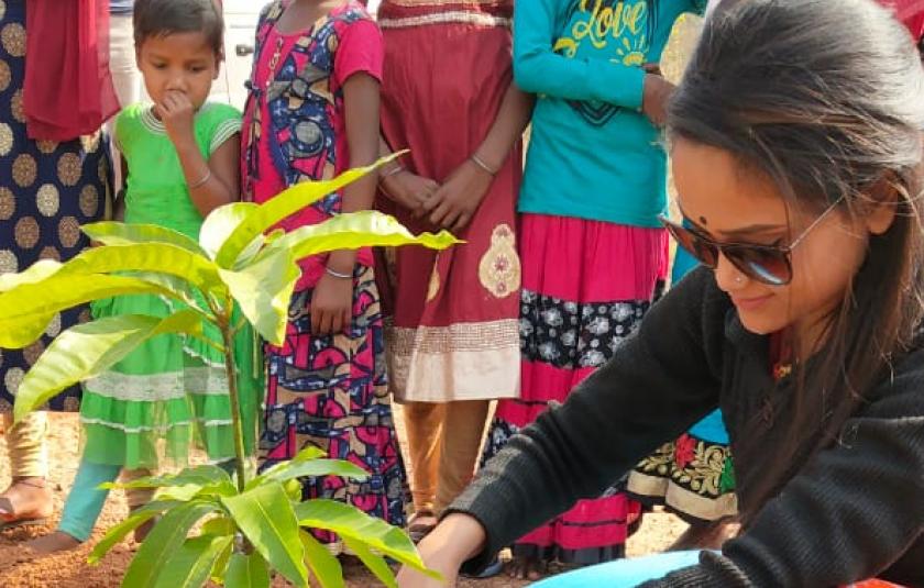 Mango Trees - Sister Nivedita Peace CC and Palki Peace CC