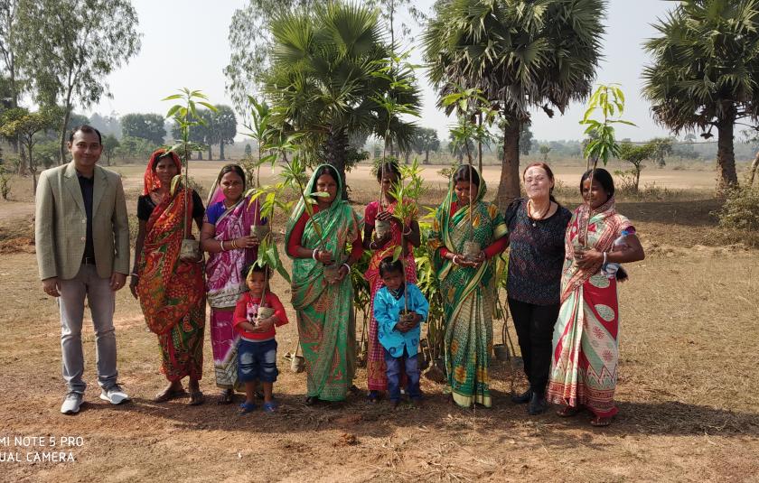 Mango Trees - Sister Nivedita Peace CC and Palki Peace CC