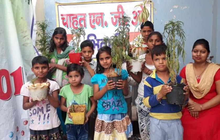 A group of children posing with plants in their hands.