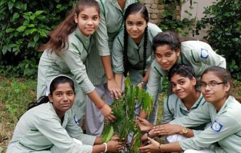 A group of schoolgirls holding a plant.