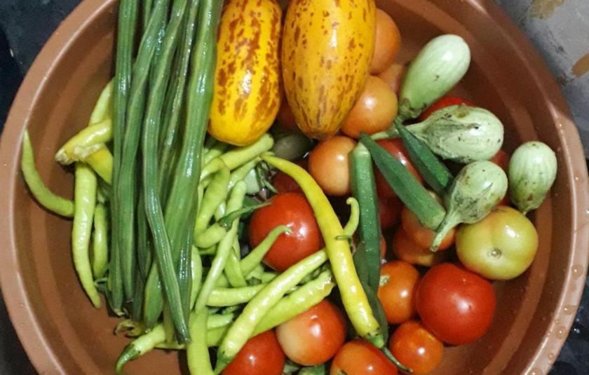 Distributing Fresh Vegetables to Poor Families in Telangana, India