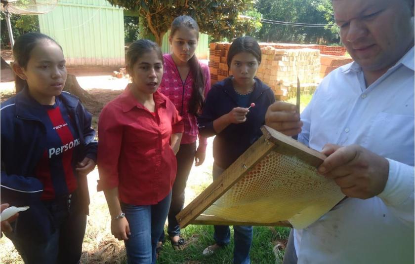 Slideshow: Teacher teaching kids how to manage the honeybee honeycomb