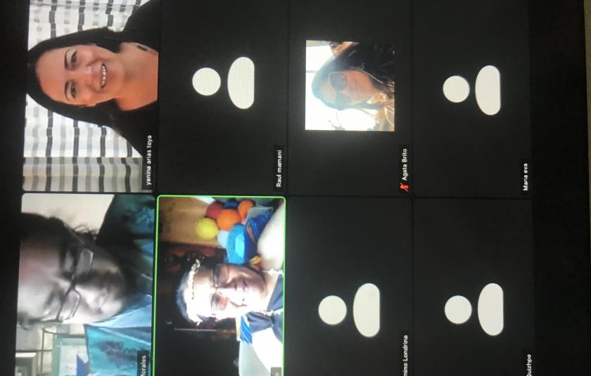 Photo: Screen photo of the zoom meeting 