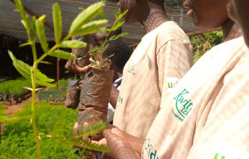 Photo: Child holding plant