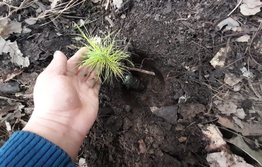 Photo: member of the cc holding the tree planted 