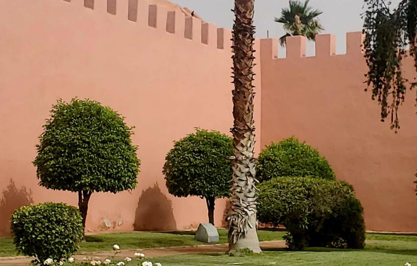 Explore Morocco's unique and beautiful culture, art and traditions with Aliza