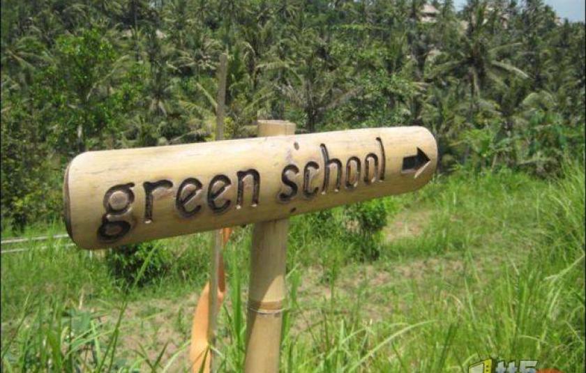 green_school_photo_1.jpg