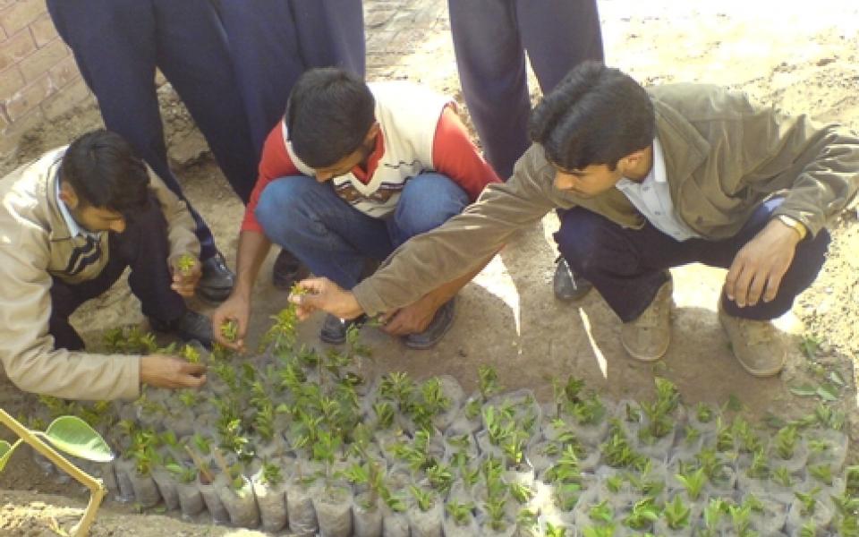hero_peaceandenvironmentccpirmahal.jpg
