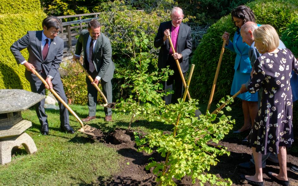 Slideshow: Two Hiroshima Survivor Trees Planted in Japanese Tea Garden