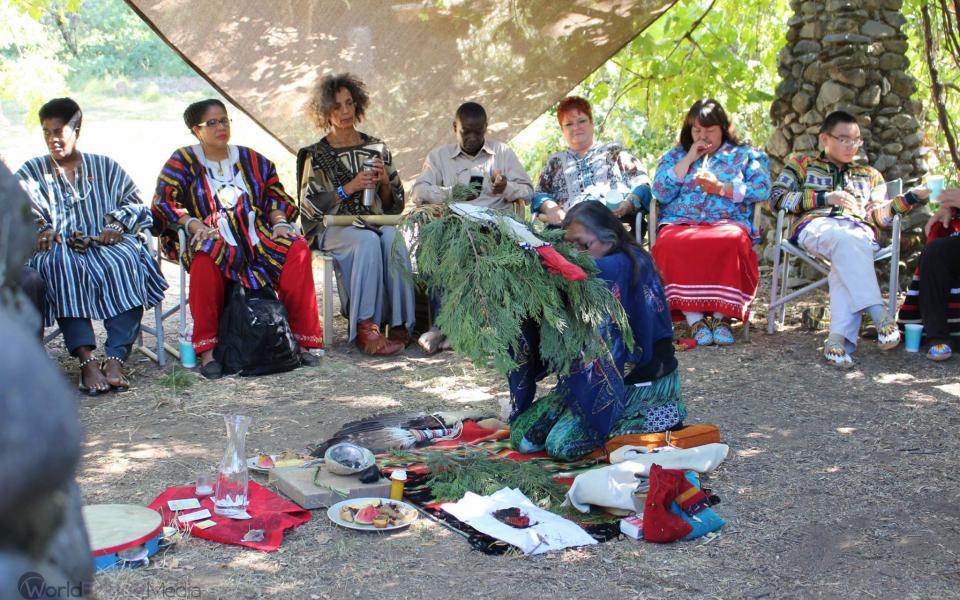 hidden_seeds_global_indigenous_network2.jpg