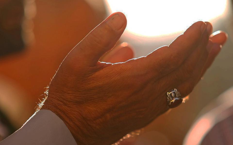 2014_Eid_ul-Fitr_Praying_-_Imam_Ali_Shrine_-_Najaf_2_Cropped.jpeg