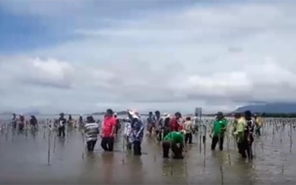 people at the sea shore