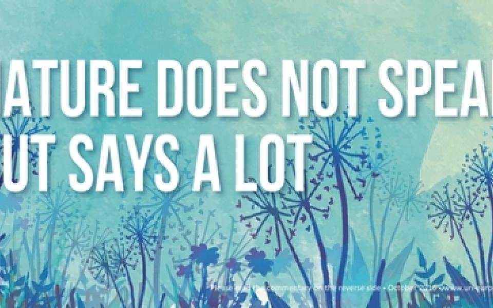 proverb