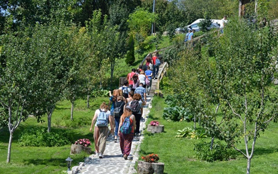 people walking 