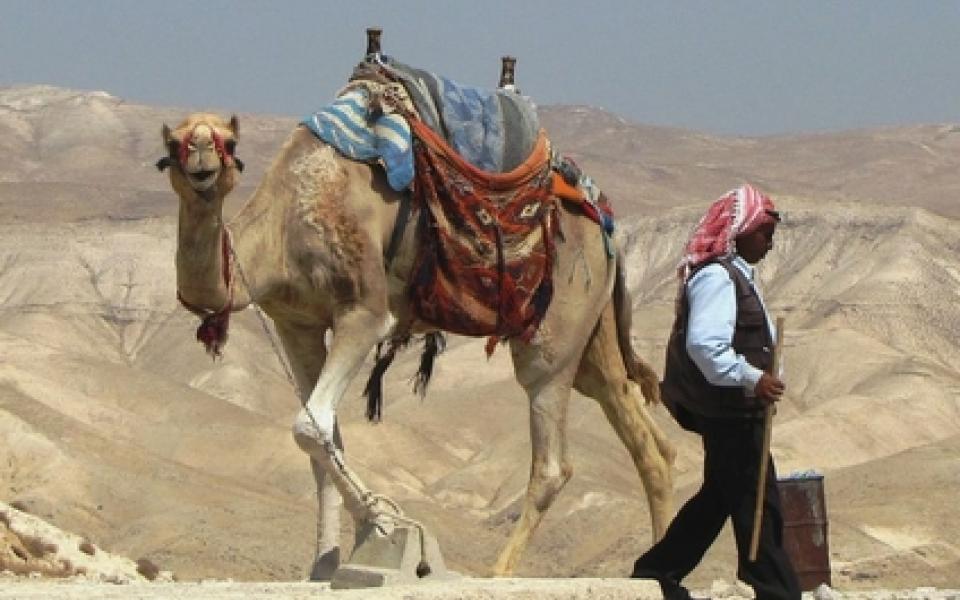 A man with his camel in the desert 