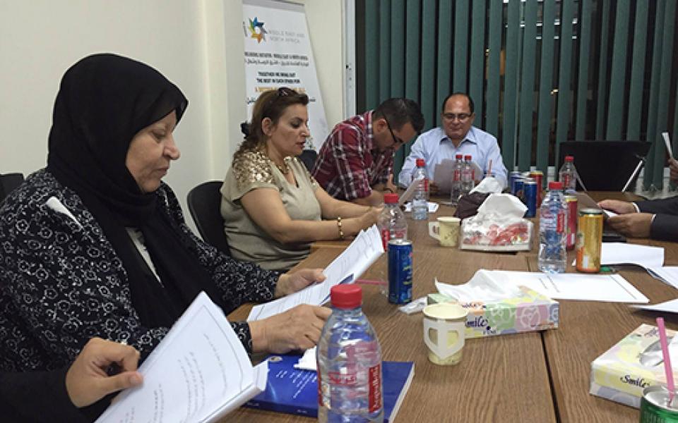 MENA-IDP2015d.jpg