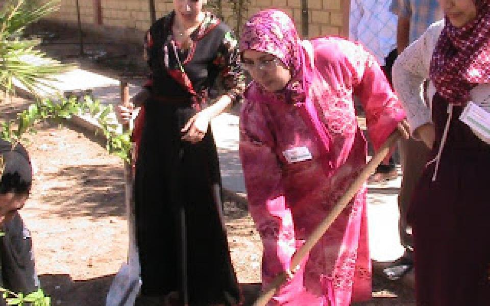 Planting.jpg