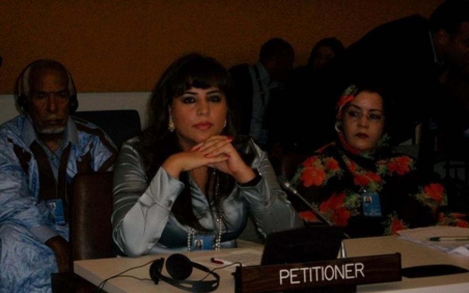 Rowaida Mroue Speaks at UN General Assembly