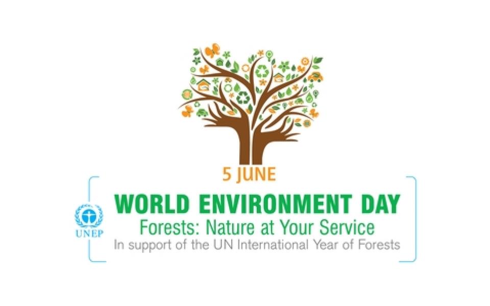 UNEP Forest logo