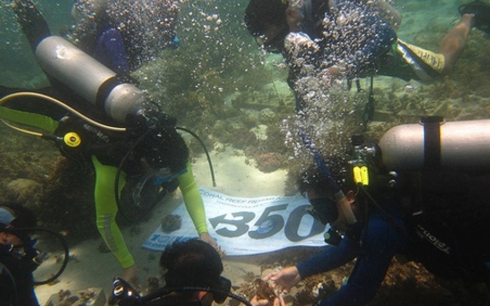 a group of people are under the sea