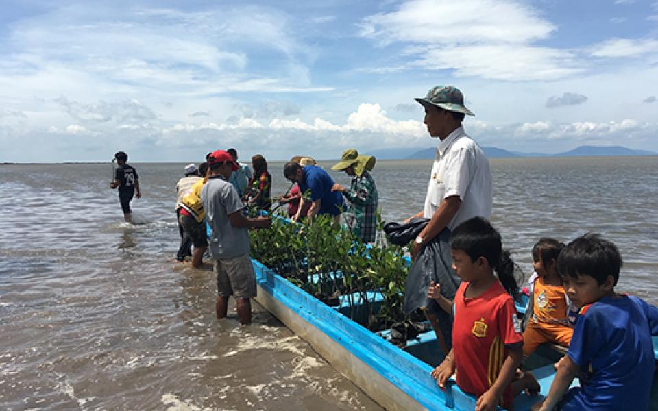 mangrovecambodia2.jpg