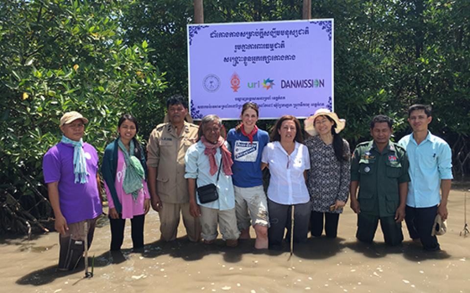 mangrovecambodia3.jpg