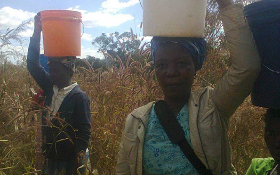 women walking holding water containers  on their heads 