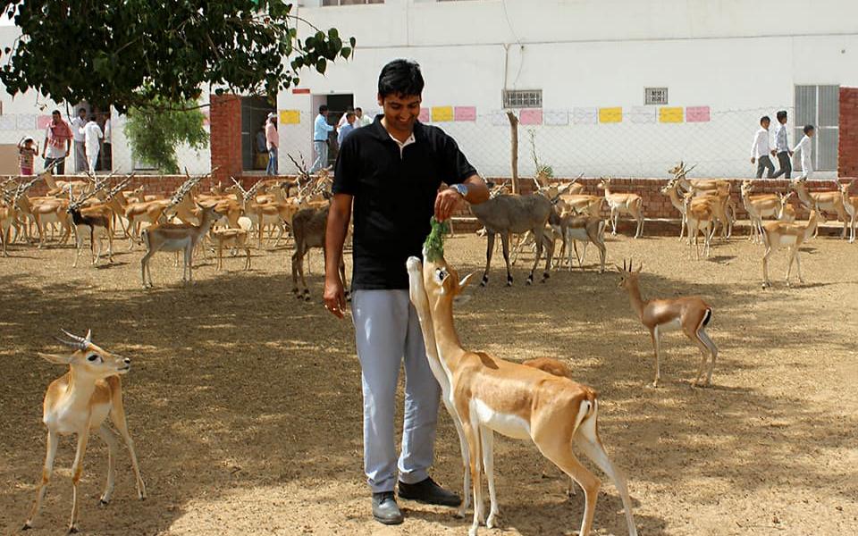 narender bishnoi.jpg