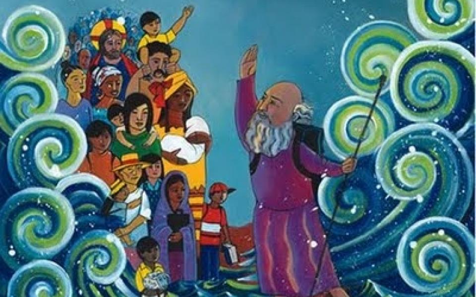 migration week poster