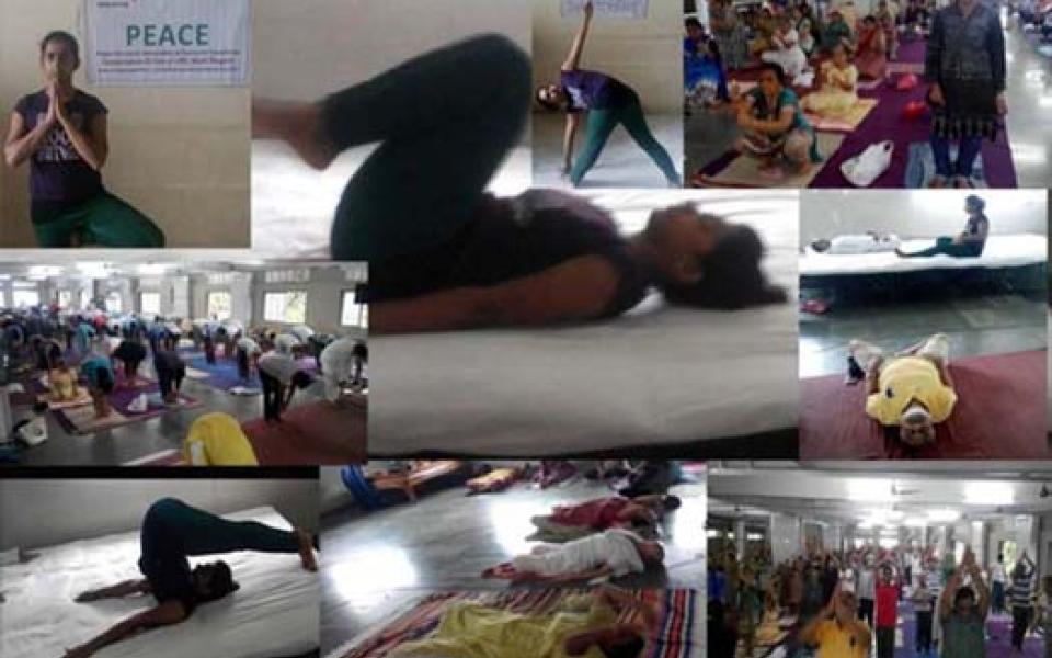 peaceCCyogaday2015.jpg