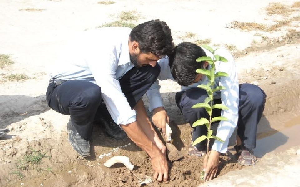 two men planting 