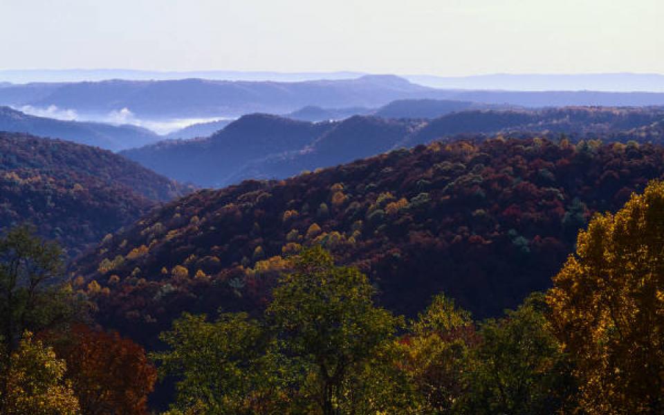 Blue Ridge Mountains of the Cohutta Wilderness