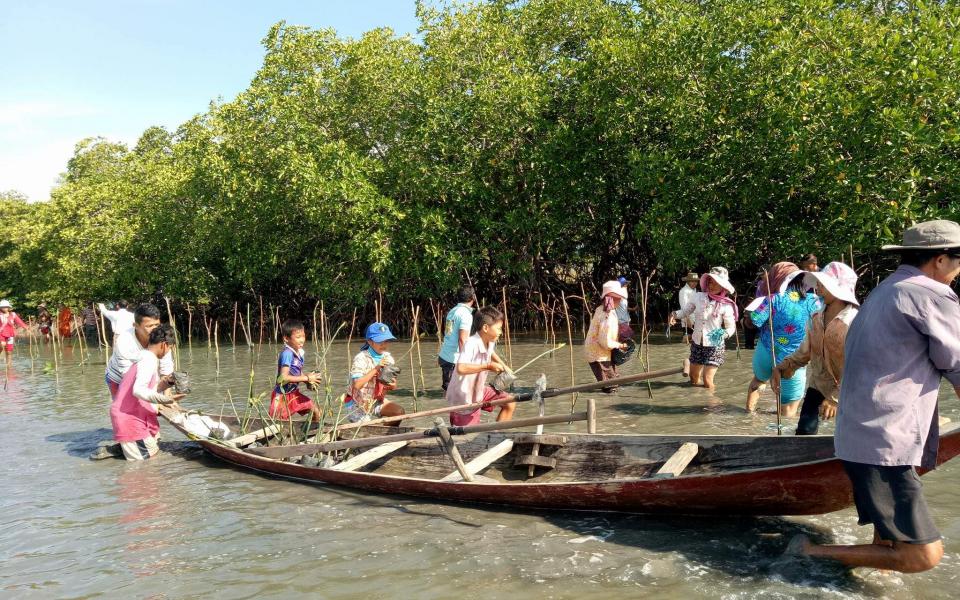 ACT Mangrove Planting - Buddha Day 