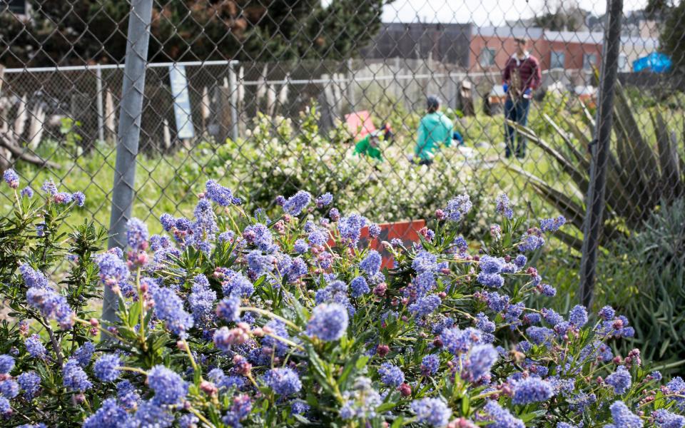 Palou Community Garden