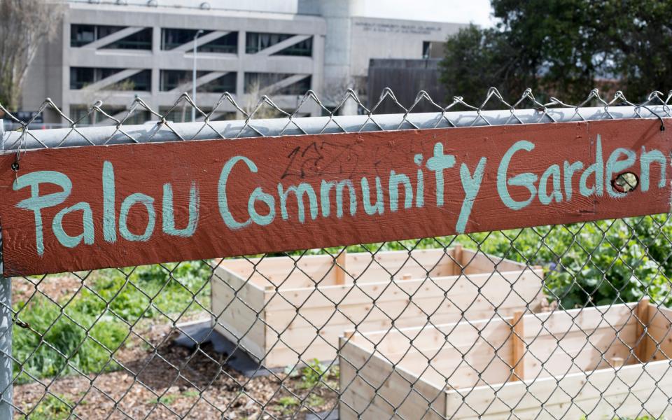 Palou Community Garden