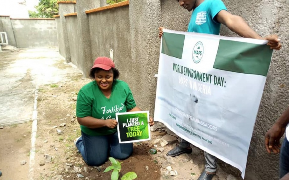 Planting Trees in Nigeria for Better Air Quality