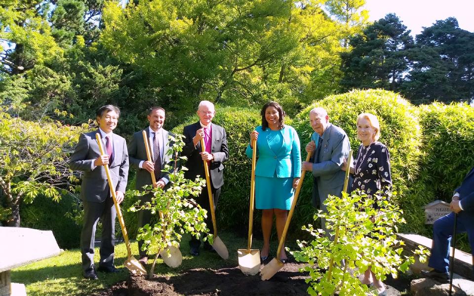 Planting the trees