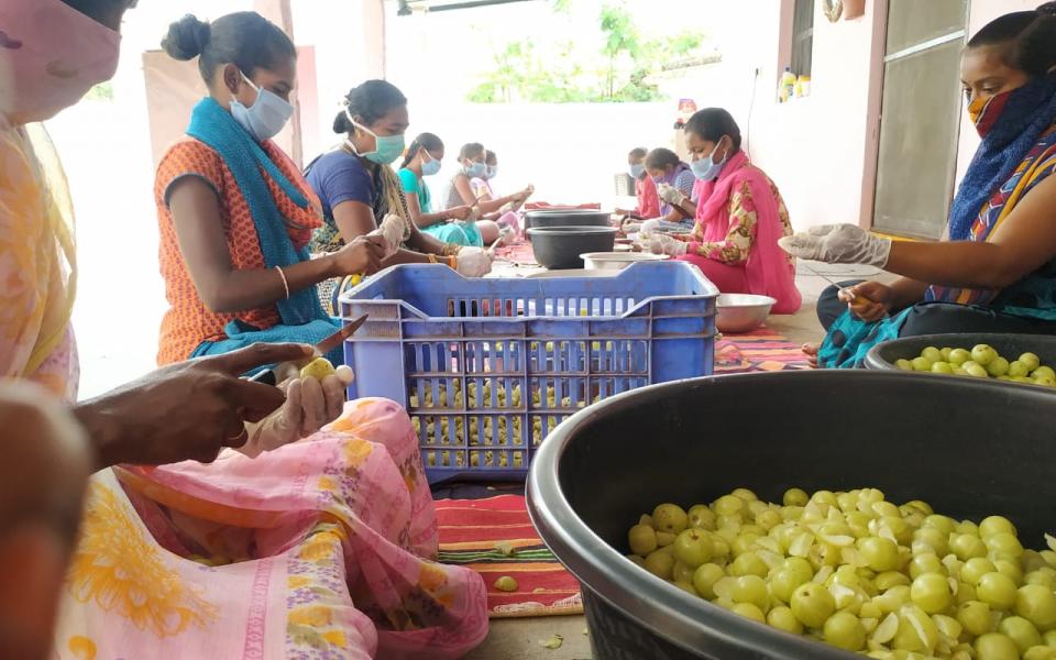 Distributing Fresh Vegetables to Poor Families in Telangana, India
