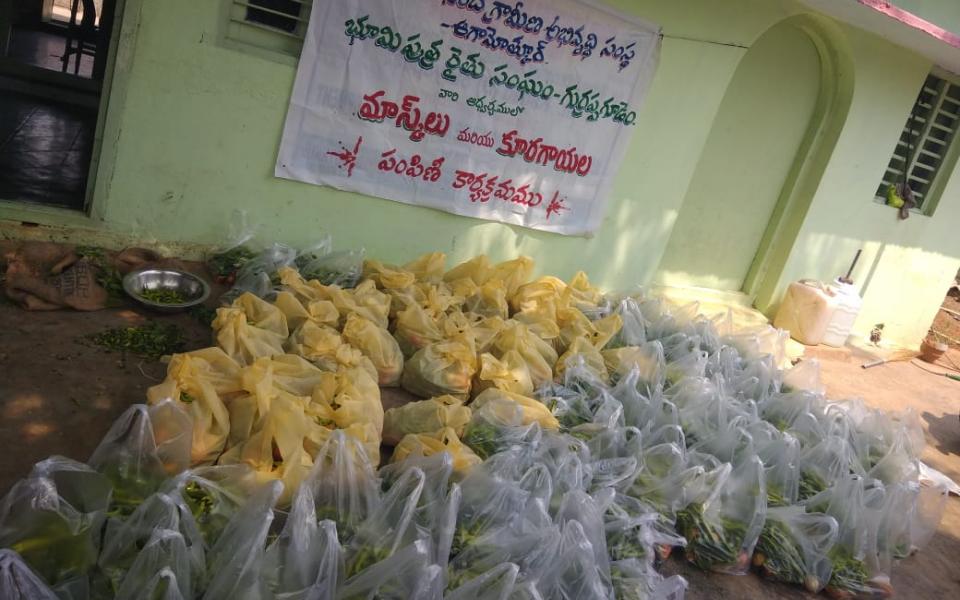 Distributing Fresh Food and Face Masks to Village Familes