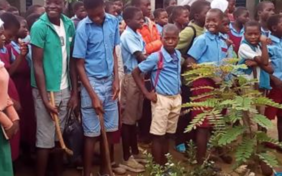 The Weekly Shot: Planting Trees in Malawi