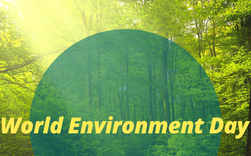 World Environment Day