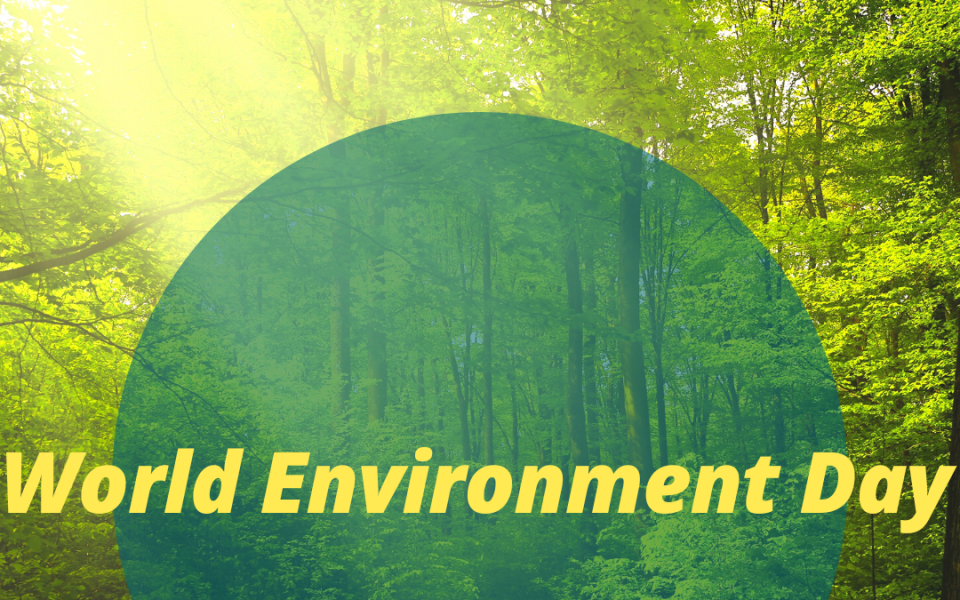 World Environment Day 