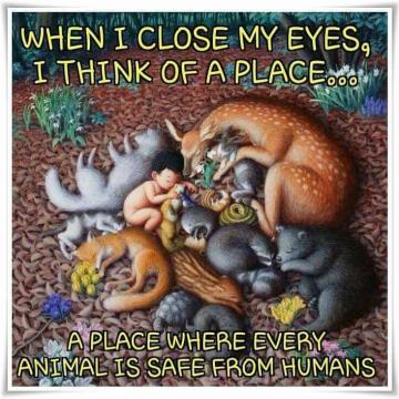 Extending Peace to All Living Beings | URI