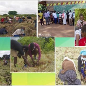 Working Together for Environmental Conservation and Sustainability